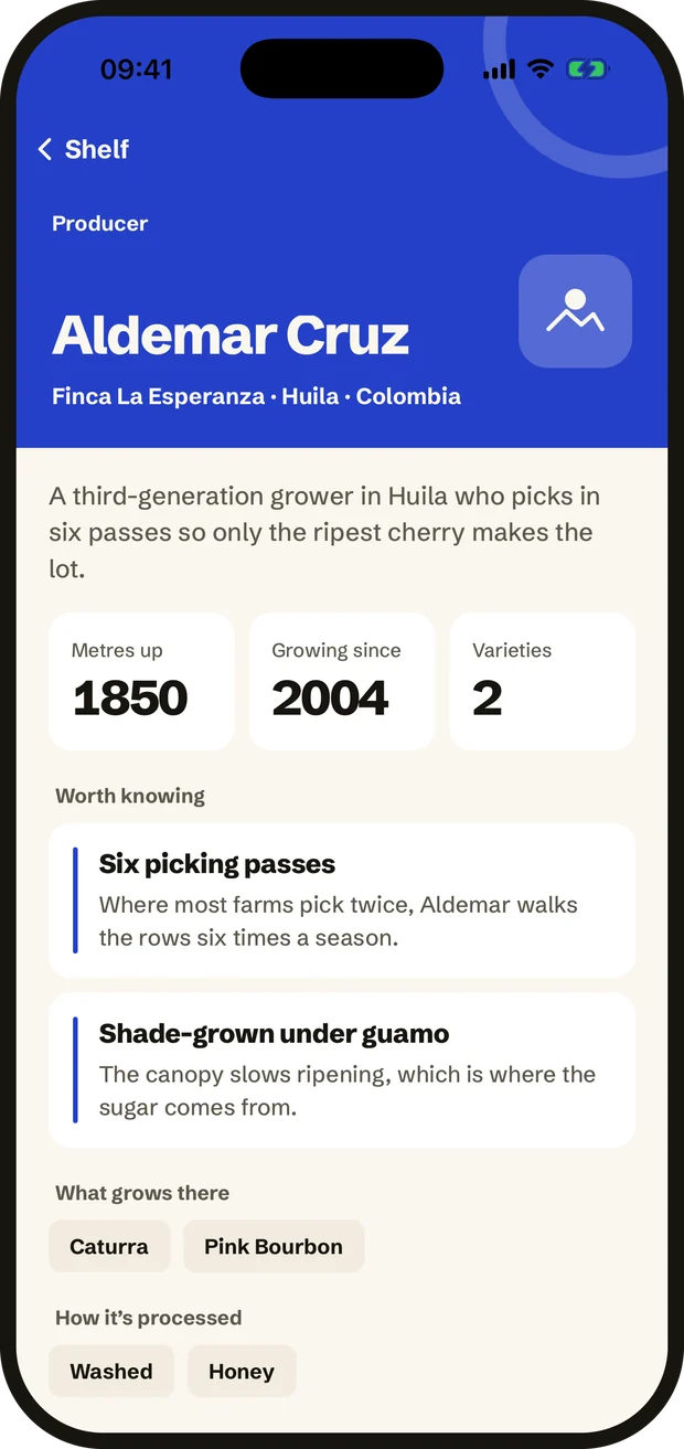 A producer page: the grower, the farm, the altitude and what is worth knowing.
